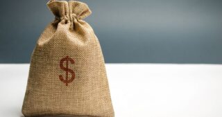 Money Bag With A Dollar Sign. Family Or Company Budget Concept.