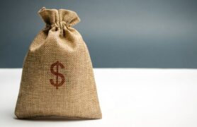 Money Bag With A Dollar Sign. Family Or Company Budget Concept.